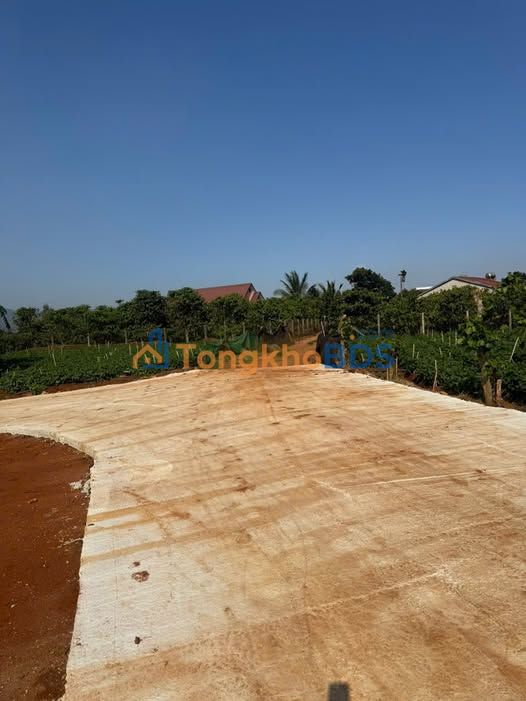 Đất Hiệp Thạnh Bảo Lộc 125m² 900tr - Đầu tư dài hạn