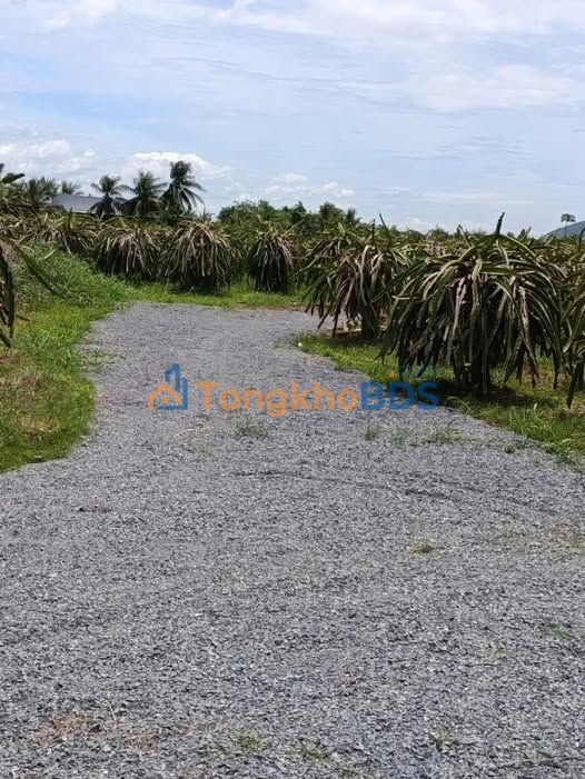 Đất nền Hàm Đức 504m² giá 310 triệu - Sổ đỏ chính chủ