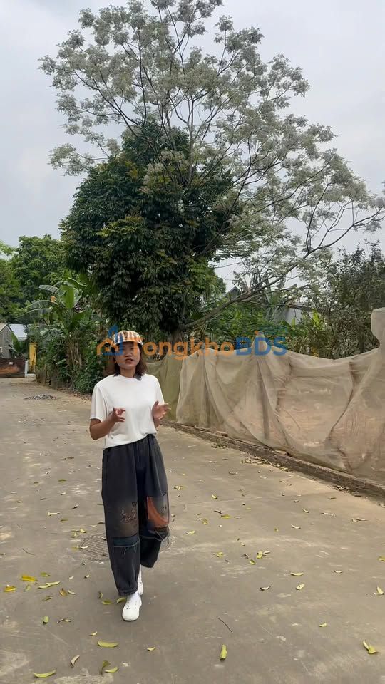 Đất nền Phú Mãn Quốc Oai 380m² giá thỏa thuận - Sổ đỏ chính chủ