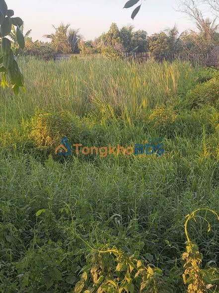 Đất nền Bình Mỹ Củ Chi 490m² 2.8 tỷ - Sổ đỏ chính chủ