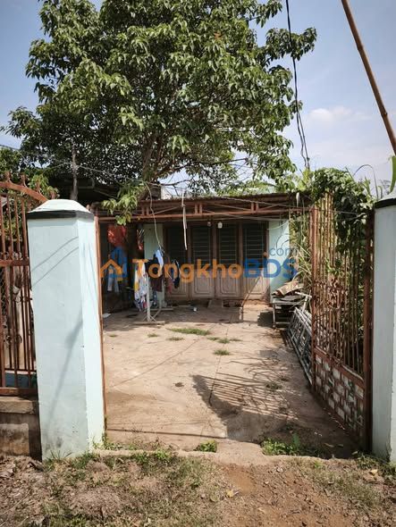 Đất nền Chư Sê 250m² 1.05 tỷ - Đường to ô tô