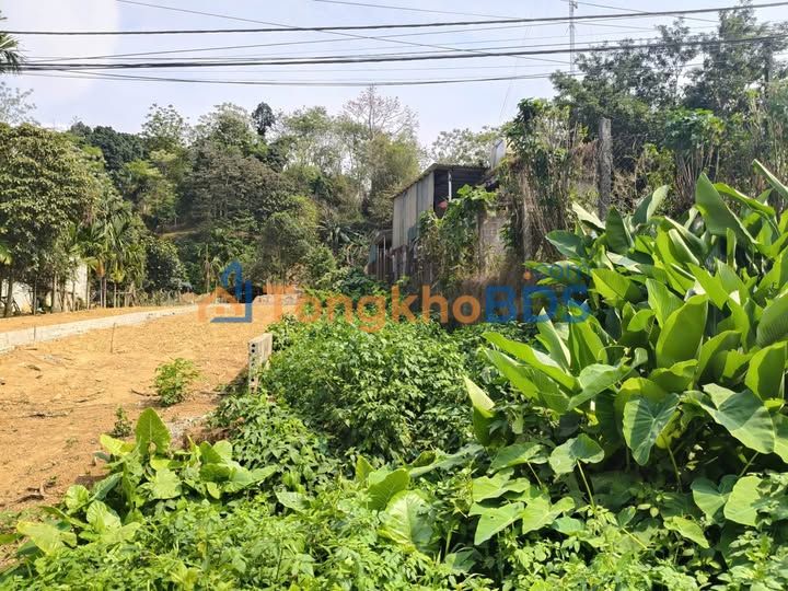 Đất nền Ba Vì TL415 180m² 1 tỷ - Sổ đỏ chính chủ, xây dựng ngay