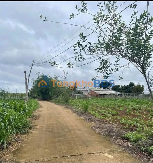 Đất nền Phú Hội Đức Trọng 160m² 750 triệu - Thổ cư 100%