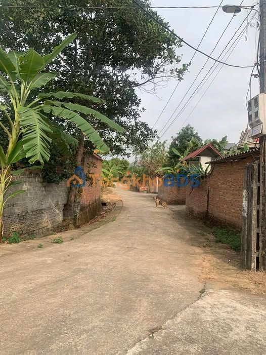 Đất nền Bắc Giang Tân An 167m² giá 5xx - Sổ đỏ chính chủ