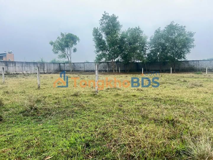 Đất Củ Chi Phước Hiệp 557m² 1,7 tỷ Sổ đỏ chính chủ