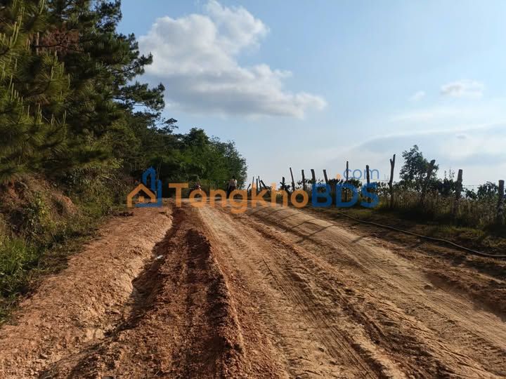 Đất vườn Tà Năng Lâm Đồng 1500m² 180 triệu - Đầu tư dài hạn