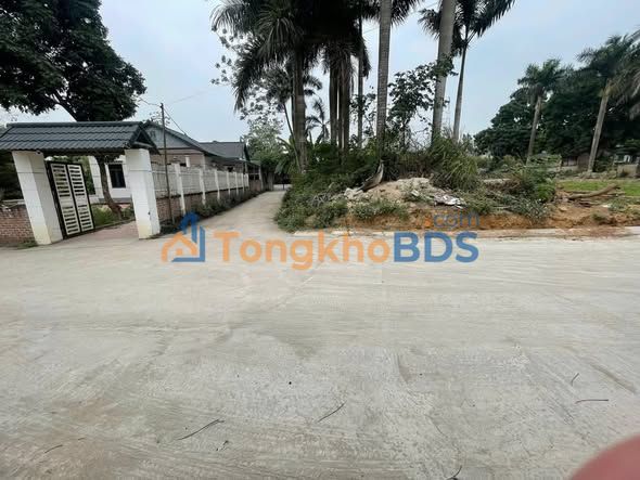 Đất nền KCN Tam Dương 143m² 1,5 tỷ - Tiềm năng tăng giá