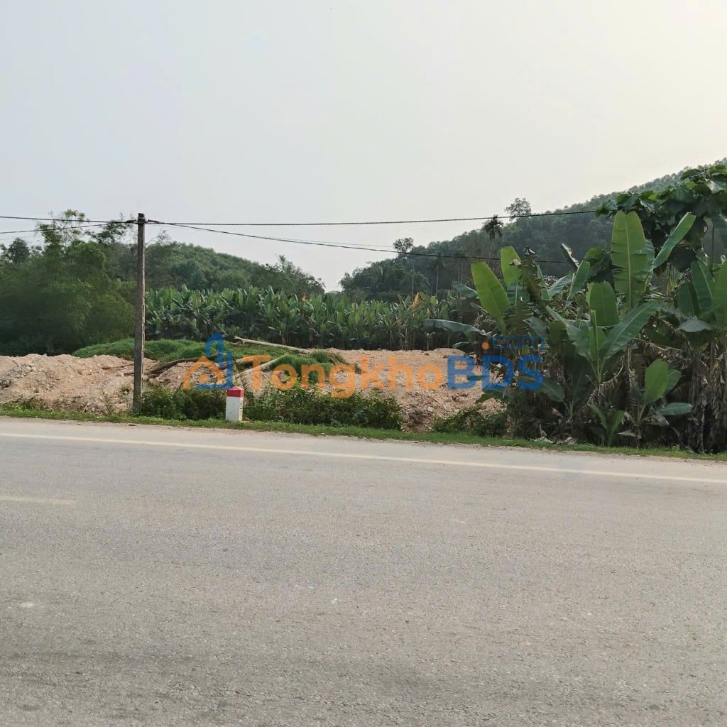 Đất nền Thọ Tiến Triệu Sơn 1.200m² 7,5 triệu/tháng – Sổ đỏ chính chủ