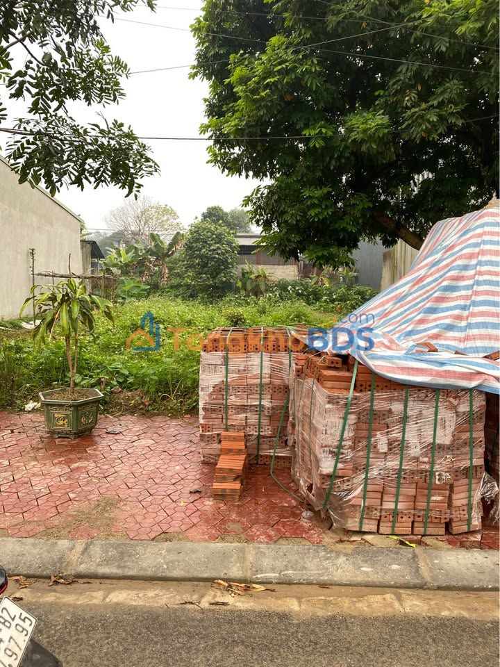 Đất nền Lào Cai N4 100m² 500 triệu - Sổ đỏ chính chủ