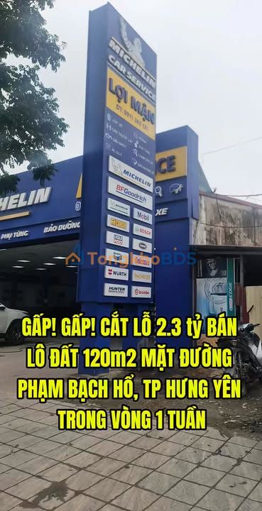 Đất nền Phạm Bạch Hổ Hưng Yên 120m² 7 tỷ - Sổ đỏ chính chủ