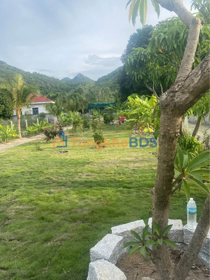 Đất nền Phước Hạ Nha Trang 78m² 1 tỷ - Sổ đỏ chính chủ