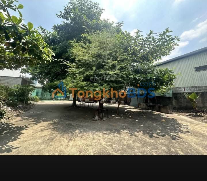 Đất thuê Tây Thạnh 1.000m² 75 triệu - Đường ô tô vào nền