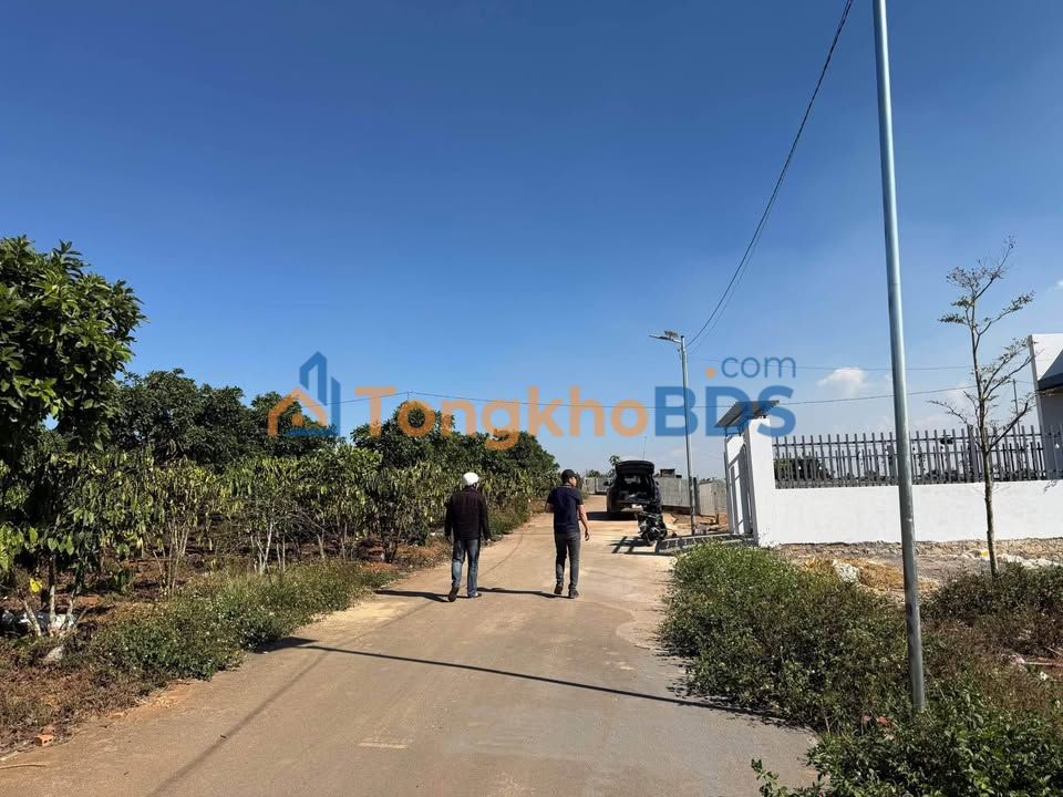 Đất Liên Hiệp Đức Trọng 100m² 990tr - Tiềm năng tăng giá