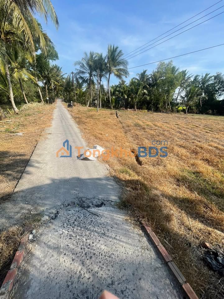 Đất nền Tân Bình Thới Lai 2943m² 1,6 tỷ - Sổ đỏ chính chủ