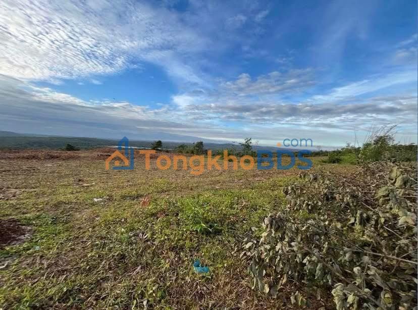 Đất nền Đắk R'Lấp 2ha 3.8 tỷ - Hạ tầng hoàn thiện