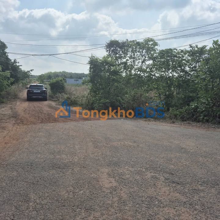 Đất Minh Hoà Dầu Tiếng 828m² 2.2 tỷ - Sổ đỏ chính chủ