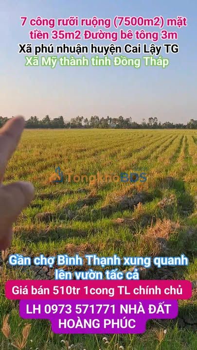 Đất ruộng Phú Nhuận Cai Lậy 7.500m² 3,825 tỷ - Sổ đỏ