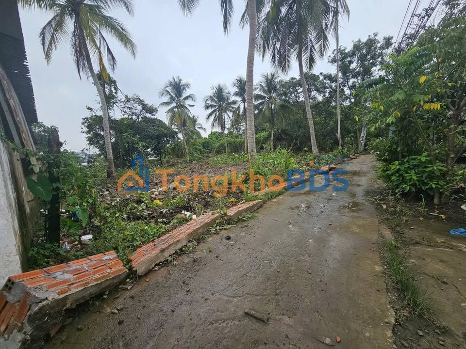 Đất nền Nhơn Nghĩa Phong Điền 2320m² - Tiềm năng tăng giá