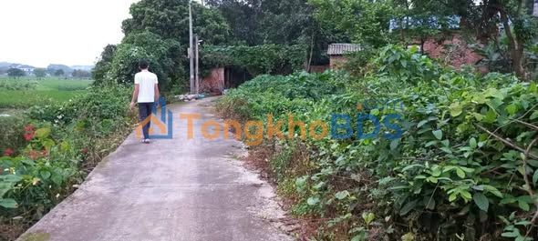 Đất nền Trung Giã Sóc Sơn 60m² 900 triệu - Sổ đỏ chính chủ