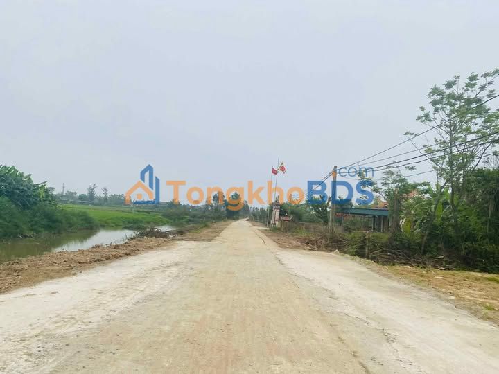 Đất Thôn Đông Vĩnh Cẩm Bình 202m² 950 triệu - Đường to ô tô