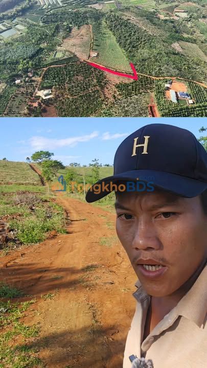 Đất nông nghiệp Đức An 65.000m² 7.15 tỷ - Sổ hồng rõ ràng