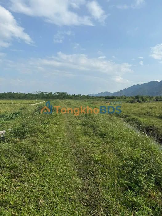 Đất nền Ngọc Lương Yên Thủy 2772m² 250 triệu - Giá tốt hiếm có