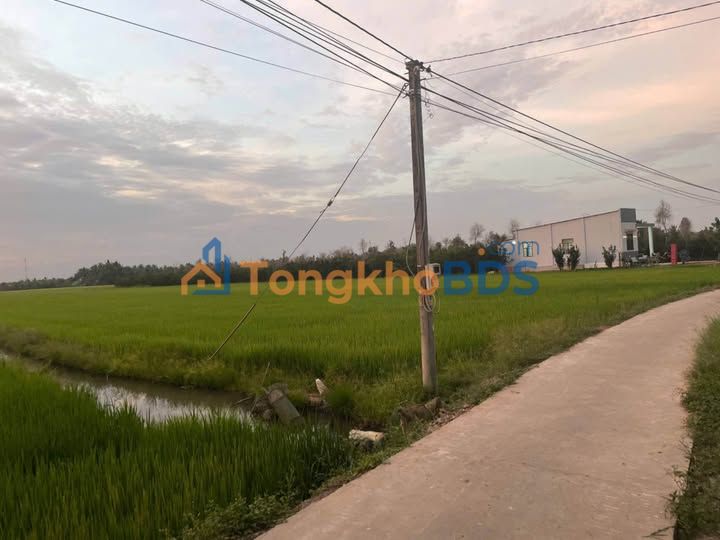 Đất nền Tân An Càng Long 2520m² 630 triệu - Sổ đỏ chính chủ