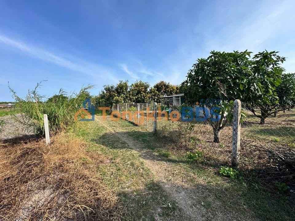 Đất vườn Cam Hiệp Nam 720m² thỏa thuận - Nghỉ dưỡng lý tưởng