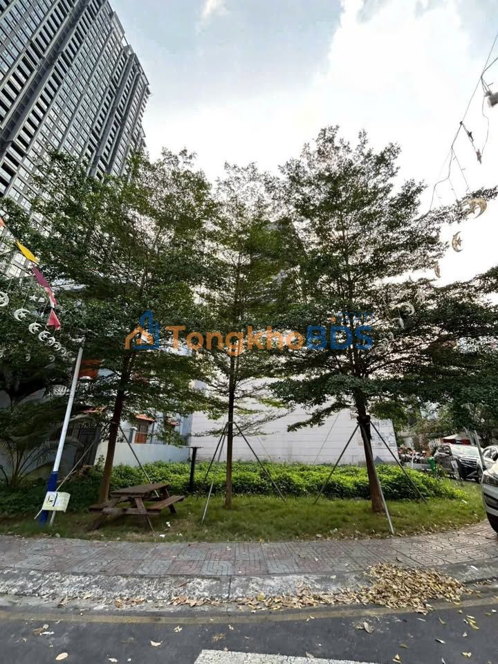 Đất nền Thảo Điền Q2 150m² - Đường to ô tô