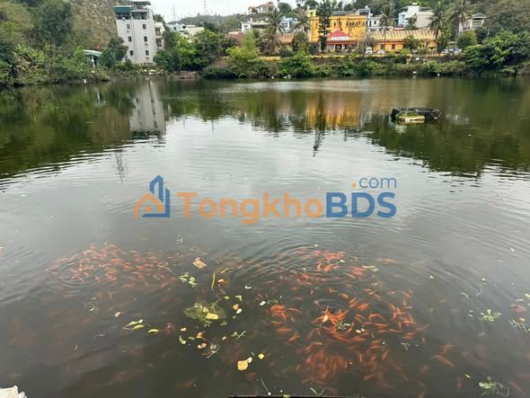 Đất nền Hà Lầm Hạ Long 70m² giá 1 tỷ - Tiềm năng tăng giá