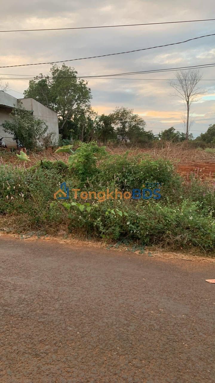 Đất nền Ia Kriêng Đức Cơ 259m² - 558 triệu - Đất thổ cư 100%