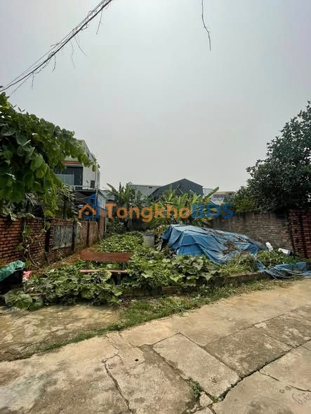 Dat nen Tan Xa 100m2 gia thuong luong - So do chinh chu