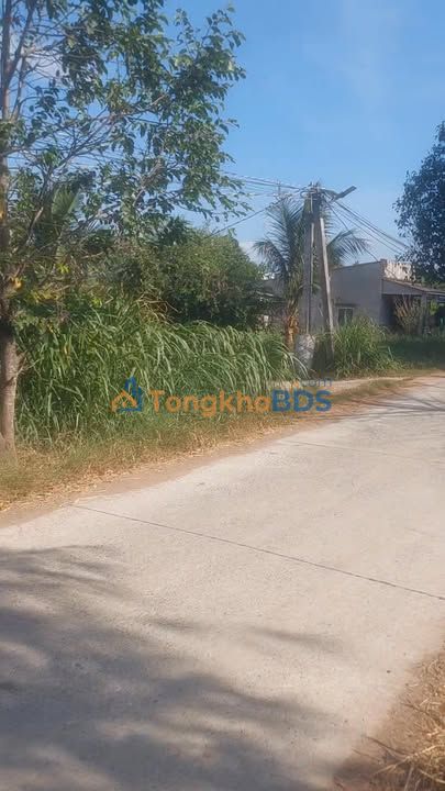 Đất nền Ba Tri Tân Xuân 462m2 0.55 tỷ - Tiềm năng tăng giá