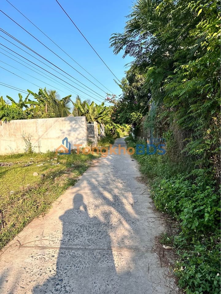 Đất nền Tân Hiệp Tiền Giang 265m² 390 triệu - Tiềm năng tăng giá