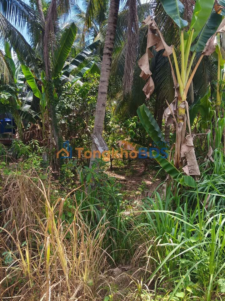 Đất nền Long Hưng 220m² giá 500 triệu - Đất thổ cư 100%