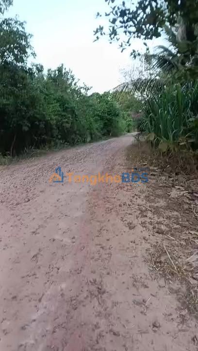 Nhà riêng Trí Bình Tây Ninh 560m² 460tr - Giá tốt hiếm có