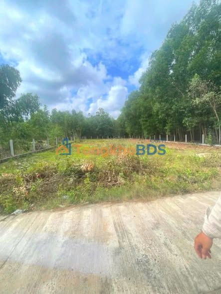 Đất Xuân Lộc Sông Cầu 1.000m² 2 tỷ - Tiềm năng tăng giá