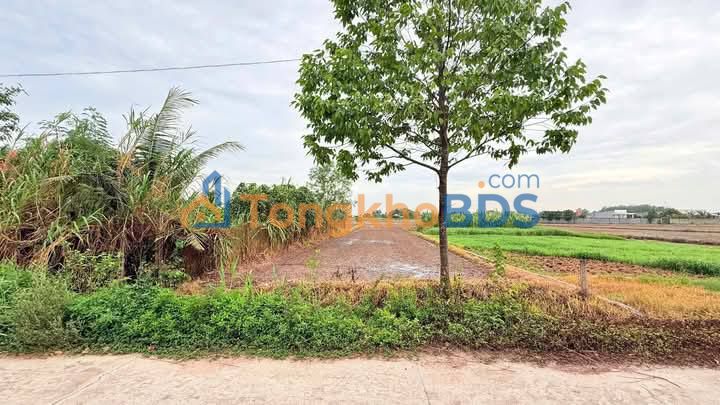 Đất nền Đức Lập Hạ 500m² giá 3 tỷ - Sổ hồng riêng