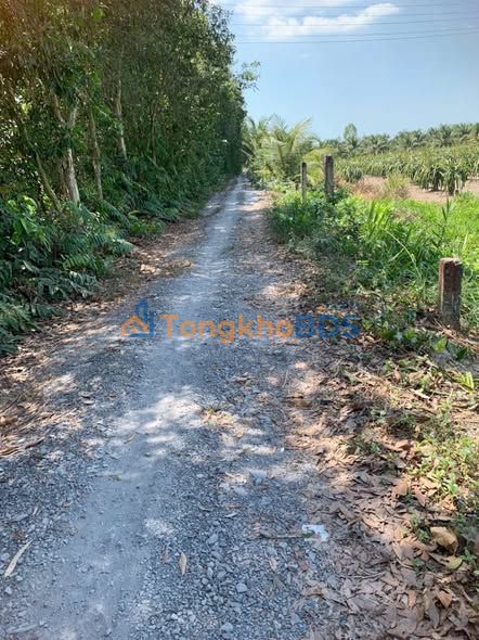 Đất nền Ấp 1 Bình Đức 150m² 700 triệu - Sổ hồng riêng