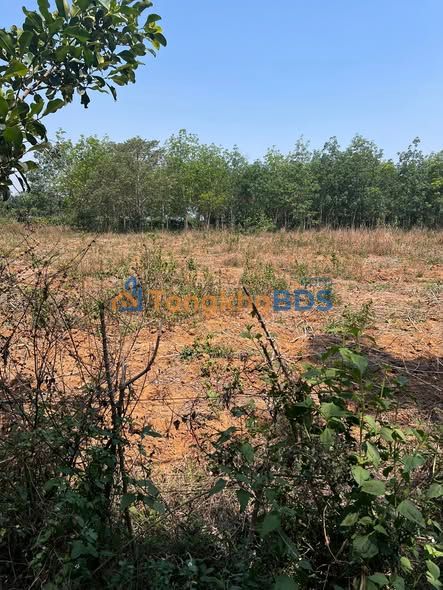 Đất thổ cư Diên Bình Kon Tum 400m² giá 4xx triệu - Sổ đỏ chính chủ