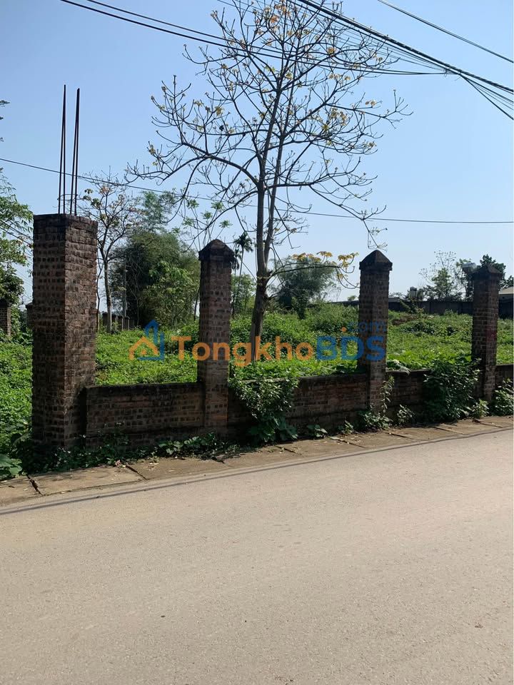 Đất nền Ba Vì 3.300m² view Tản Viên - Sổ đỏ chính chủ 2 mặt tiền đẹp