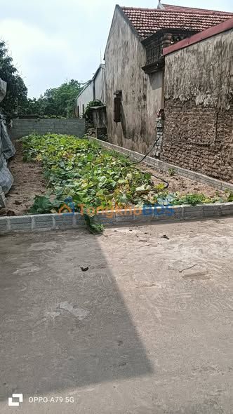 Đất Tân Minh Thường Tín 91m² 5 tỷ - Sổ đỏ chính chủ