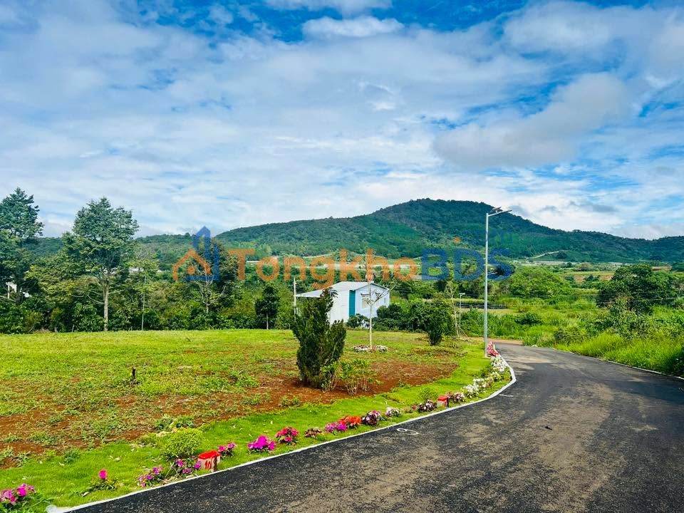 Đất nền Hiệp Thạnh 100m² 990 triệu - Sổ đỏ chính chủ