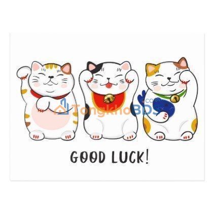 Phòng trọ Vũ Phúc Thái Bình 1 triệu/tháng - Bàn giao ngay