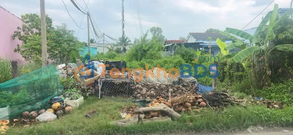 Đất nền Cần Đước Long An 304m² 3.1 tỷ - Sổ đỏ thổ cư