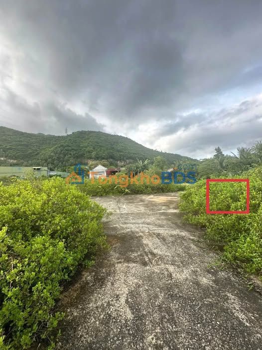 Đất nền Phước Đồng 78m² 1,3 tỷ - Đất thổ cư 100%