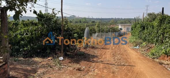 Đất vườn Ia Pal 2.3ha 12.778 tỷ - Sổ đỏ chính chủ