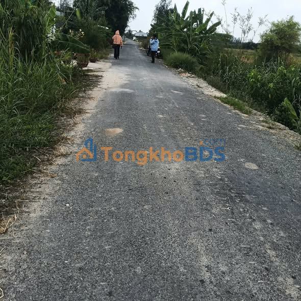 Đất nền Thành Trung Bình Tân 250m² 4xx triệu - Sổ đỏ chính chủ