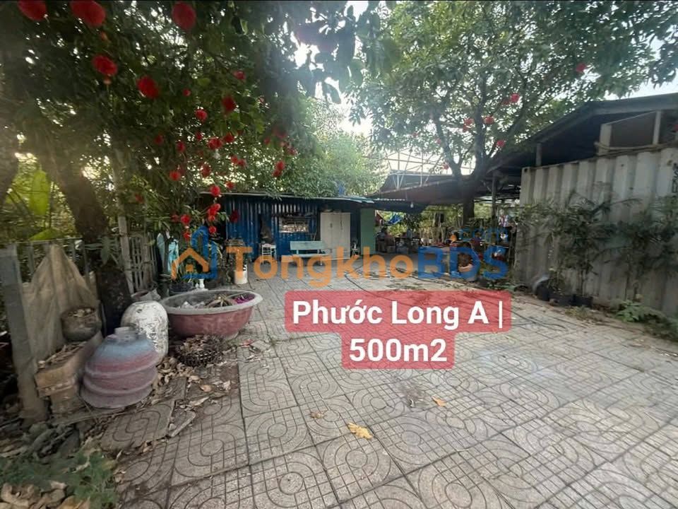 Mặt bằng Phước Long A 500m² 10 triệu - Mặt tiền kinh doanh