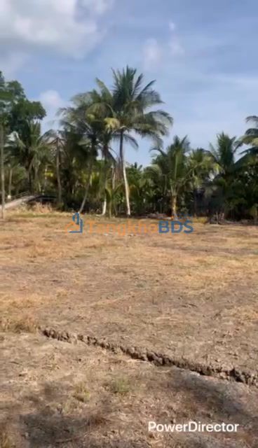 Đất nền Tân Bình Thới Lai 3.000m² 1,6 tỷ - Sổ đỏ chính chủ